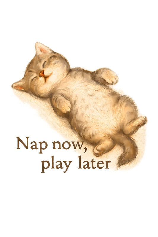 Cozy Cat Nap T-Shirt