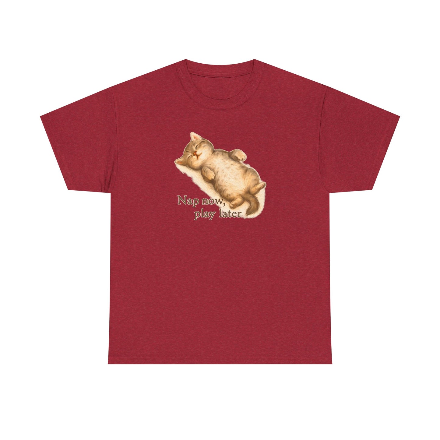 Cozy Cat Nap T-Shirt
